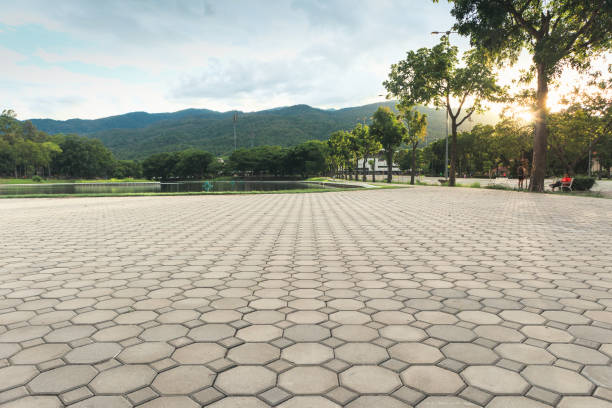 Best Custom Driveway Pavers  in Villa Ridge, MO